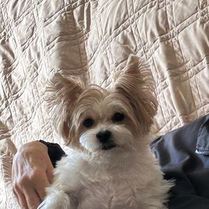 Meet your Posher, Regina turpin